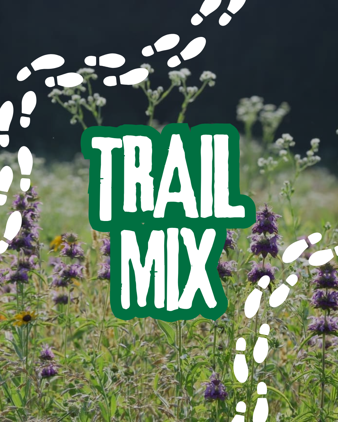 Trail Mix