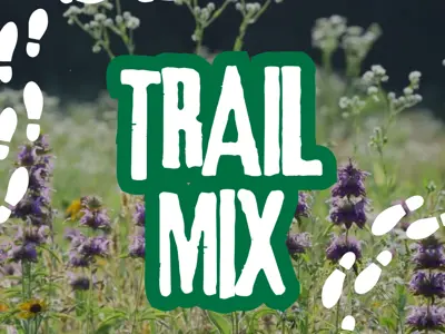 Trail Mix