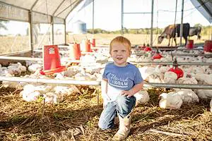 Pasture Raised Chickens Mobile Coop Family Farm
