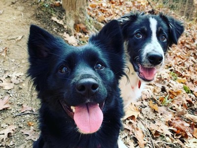 10 Best Park Trails for Social Distancing in Clermont County