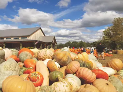 LAST BLAST OF SUMMER AND PSL SEASON BEGINS- A NOTE FROM THE PRESIDENT